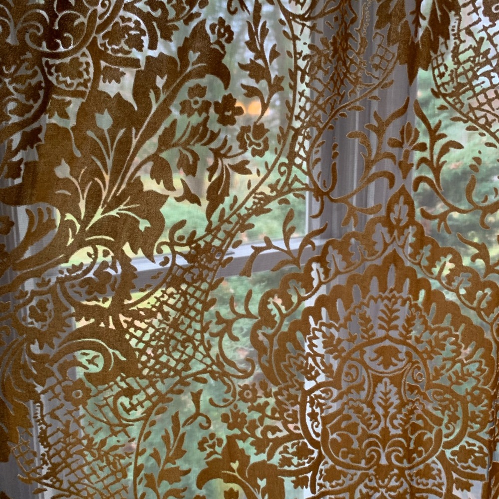 Gorgeous Velvet burn out curtains